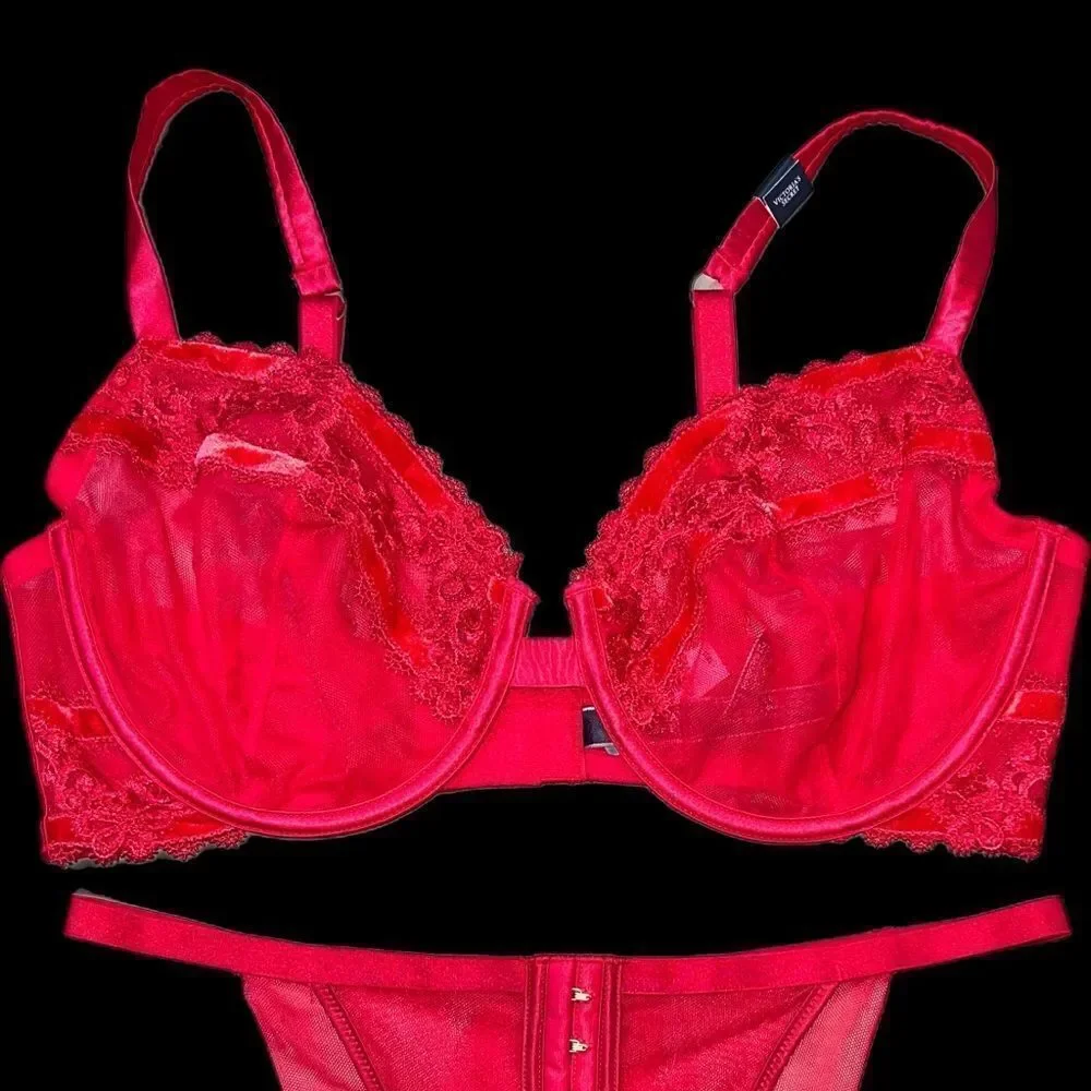 Victoria’s Secret LUXE Sexy Mesh Lace Velvet Unlined Demi bra & Brazilian Panty